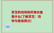 灵芝的功效和药用价值是什么(了解灵芝：功效与用途简介)