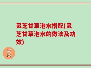 灵芝甘草泡水搭配(灵芝甘草泡水的做法及功效)