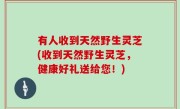 有人收到天然野生灵芝(收到天然野生灵芝，健康好礼送给您！)