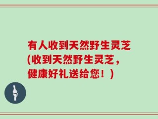有人收到天然野生灵芝(收到天然野生灵芝，健康好礼送给您！)