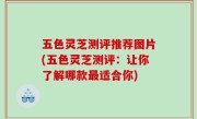 五色灵芝测评推荐图片(五色灵芝测评：让你了解哪款最适合你)