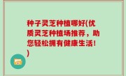 种子灵芝种植哪好(优质灵芝种植场推荐，助您轻松拥有健康生活！)