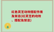 红色灵芝功效搭配作用及禁忌(红灵芝的功效、搭配及禁忌)
