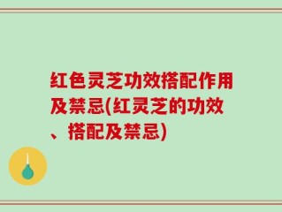 红色灵芝功效搭配作用及禁忌(红灵芝的功效、搭配及禁忌)