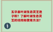五华县叶湖生态灵芝孢子粉？了解叶湖生态灵芝的功效和使用方法？