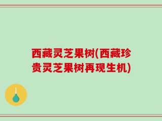 西藏灵芝果树(西藏珍贵灵芝果树再现生机)