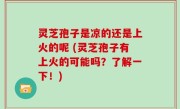 灵芝孢子是凉的还是上火的呢 (灵芝孢子有上火的可能吗？了解一下！)