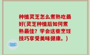种植灵芝怎么煮熟吃最好(灵芝种植后如何煮熟最佳？学会这些烹饪技巧享受美味健康。)