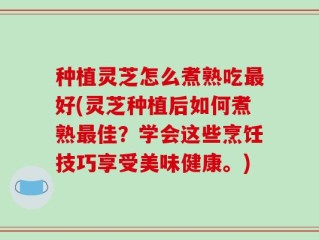 种植灵芝怎么煮熟吃最好(灵芝种植后如何煮熟最佳？学会这些烹饪技巧享受美味健康。)