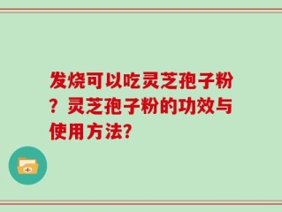 发烧可以吃灵芝孢子粉？灵芝孢子粉的功效与使用方法？