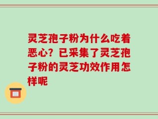 灵芝孢子粉为什么吃着恶心？已采集了灵芝孢子粉的灵芝功效作用怎样呢