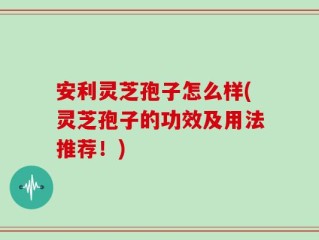 安利灵芝孢子怎么样(灵芝孢子的功效及用法推荐！)
