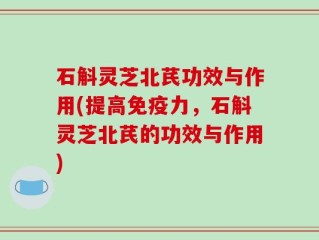 石斛灵芝北芪功效与作用(提高免疫力，石斛灵芝北芪的功效与作用)