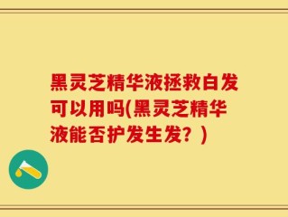 黑灵芝精华液拯救白发可以用吗(黑灵芝精华液能否护发生发？)