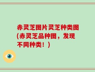 赤灵芝图片灵芝种类图(赤灵芝品种图，发现不同种类！)