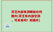 灵芝内部有洞眼能吃吗图片(灵芝有内部空洞，可食用吗？附图片)