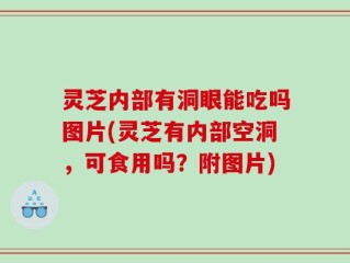 灵芝内部有洞眼能吃吗图片(灵芝有内部空洞，可食用吗？附图片)