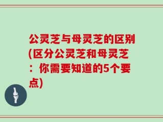 公灵芝与母灵芝的区别(区分公灵芝和母灵芝：你需要知道的5个要点)