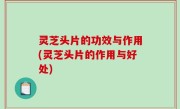 灵芝头片的功效与作用(灵芝头片的作用与好处)