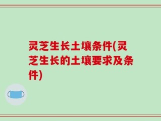 灵芝生长土壤条件(灵芝生长的土壤要求及条件)