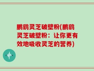 鹏鹞灵芝破壁粉(鹏鹞灵芝破壁粉：让你更有效地吸收灵芝的营养)