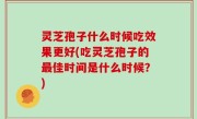 灵芝孢子什么时候吃效果更好(吃灵芝孢子的最佳时间是什么时候？)