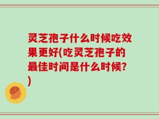 灵芝孢子什么时候吃效果更好(吃灵芝孢子的最佳时间是什么时候？)