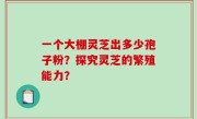 一个大棚灵芝出多少孢子粉？探究灵芝的繁殖能力？