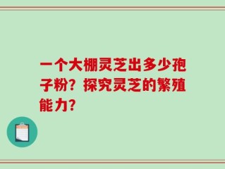 一个大棚灵芝出多少孢子粉？探究灵芝的繁殖能力？