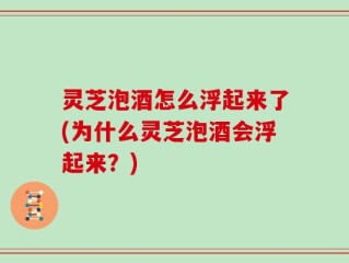 灵芝泡酒怎么浮起来了(为什么灵芝泡酒会浮起来？)