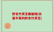 野生竹灵芝最值钱(价值不菲的野生竹灵芝)