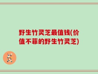 野生竹灵芝最值钱(价值不菲的野生竹灵芝)