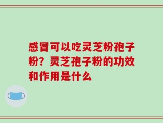 感冒可以吃灵芝粉孢子粉？灵芝孢子粉的功效和作用是什么