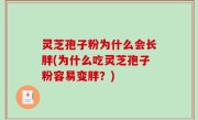 灵芝孢子粉为什么会长胖(为什么吃灵芝孢子粉容易变胖？)