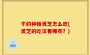 干的种植灵芝怎么吃(灵芝的吃法有哪些？)