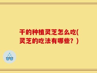 干的种植灵芝怎么吃(灵芝的吃法有哪些？)