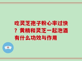 吃灵芝孢子粉心率过快？黄精和灵芝一起泡酒有什么功效与作用