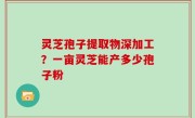 灵芝孢子提取物深加工？一亩灵芝能产多少孢子粉