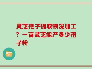 灵芝孢子提取物深加工？一亩灵芝能产多少孢子粉