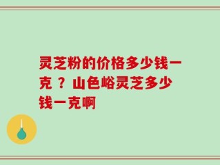 灵芝粉的价格多少钱一克 ？山色峪灵芝多少钱一克啊