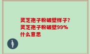 灵芝孢子粉破壁样子？灵芝孢子粉破壁99%什么意思