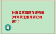 林海灵芝烟现在还有嘛(林海灵芝烟是否已绝迹？)