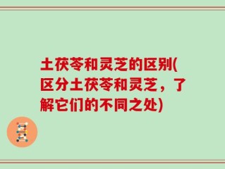 土茯苓和灵芝的区别(区分土茯苓和灵芝，了解它们的不同之处)