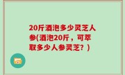 20斤酒泡多少灵芝人参(酒泡20斤，可萃取多少人参灵芝？)