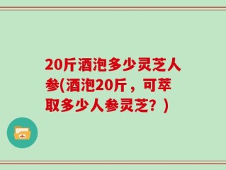 20斤酒泡多少灵芝人参(酒泡20斤，可萃取多少人参灵芝？)