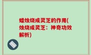 蜡烛烧成灵芝的作用(烛烧成灵芝：神奇功效解析)