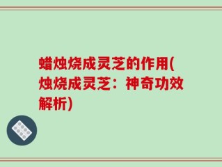 蜡烛烧成灵芝的作用(烛烧成灵芝：神奇功效解析)