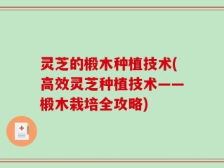 灵芝的椴木种植技术(高效灵芝种植技术——椴木栽培全攻略)