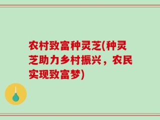 农村致富种灵芝(种灵芝助力乡村振兴，农民实现致富梦)