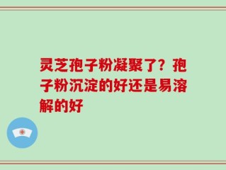 灵芝孢子粉凝聚了？孢子粉沉淀的好还是易溶解的好